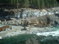 DSCF0005